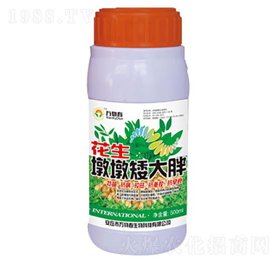 500ml花生墩墩矮大胖-萬物春