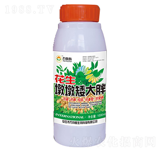 1000ml花生墩墩矮大胖-萬物春