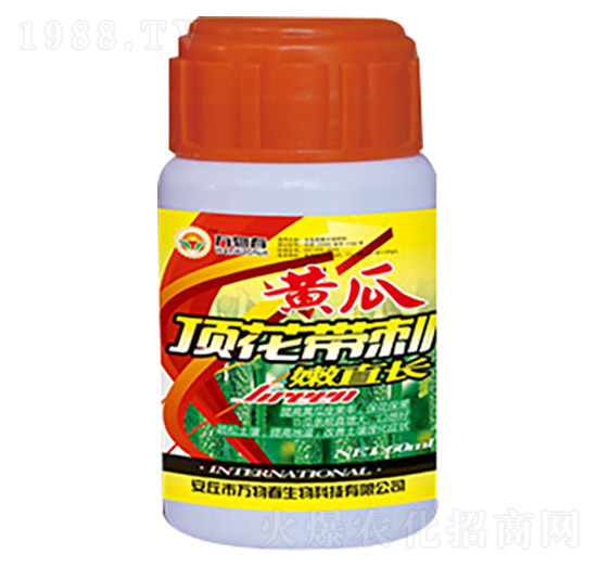 黃瓜頂花帶刺嫩直長-萬物春