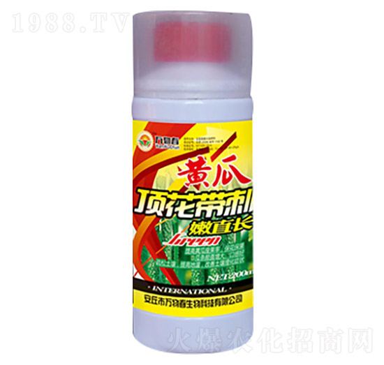 200ml黃瓜頂花帶刺嫩直長-萬物春