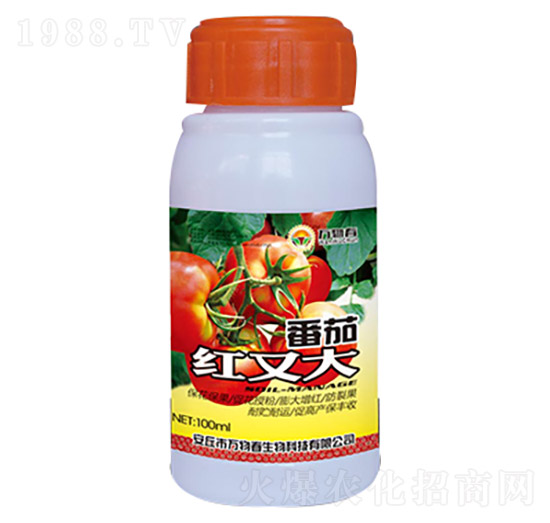 100ml番茄紅又大-萬物春