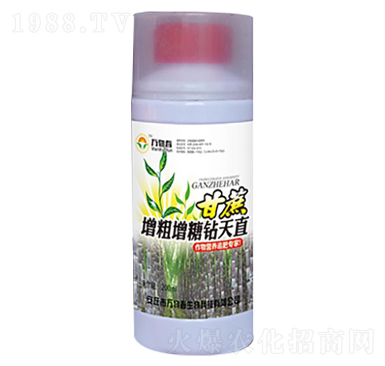 甘蔗增粗增糖鉆天直-萬(wàn)物春