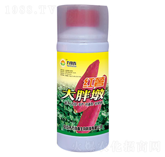 200ml�t�����ֶ�-�f�ﴺ