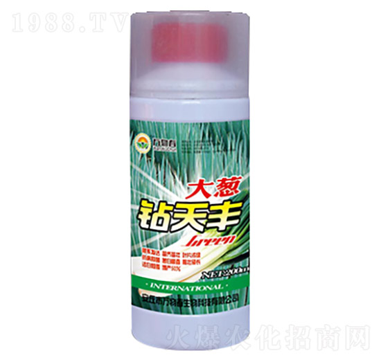 ���[�@���S-�f�ﴺ