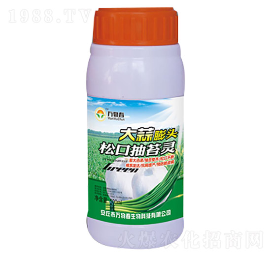 500ml�������^�ɿڳ�̦�`-�f�ﴺ