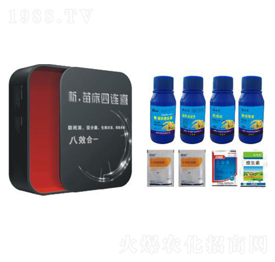 新·苗床四連喜-鵬潤(rùn)農(nóng)業(yè)