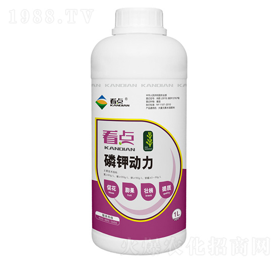 磷鉀動(dòng)力-看點(diǎn)