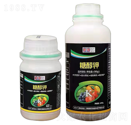 �Ǵ���~���-Ӣ����