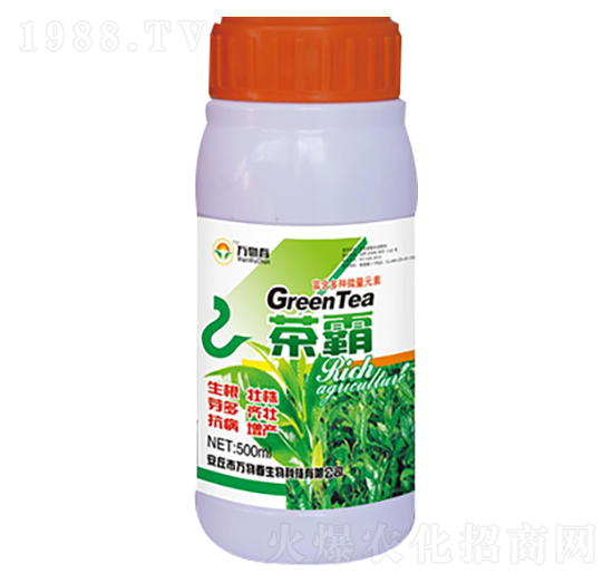 500ml���-�f(w��n)�ﴺ