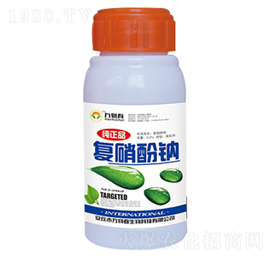 100ml��(f��)�����c-�f�ﴺ