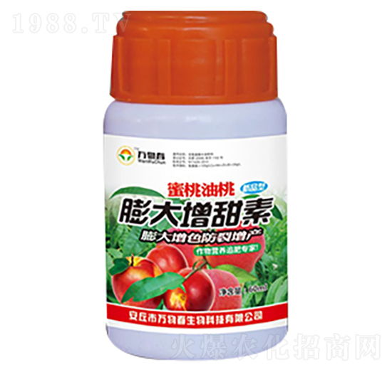 �����������������-�f�ﴺ