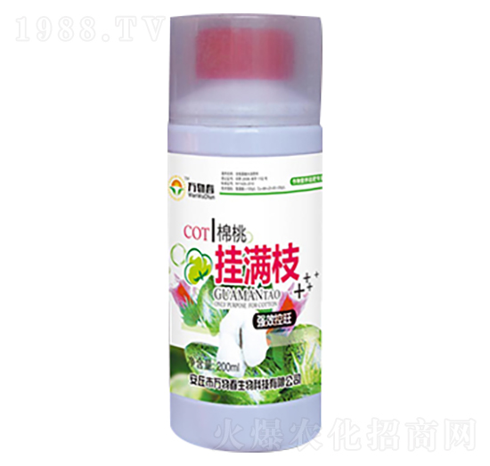 200ml���Ғ�M֦-�f�ﴺ