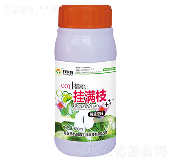 ���Ғ�M֦-�f�ﴺ