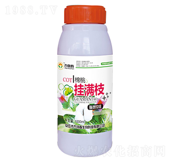 1000ml���Ғ�M֦-�f�ﴺ