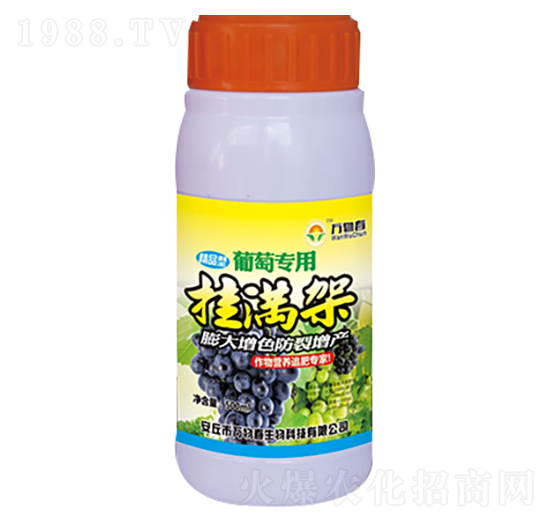 500ml���ђ�M��-�f�ﴺ