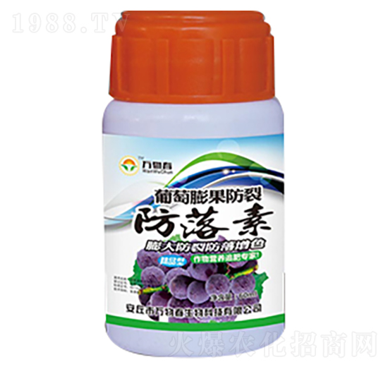 ����������ѷ�����-�f�ﴺ