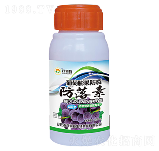 100ml����������ѷ�����-�f�ﴺ