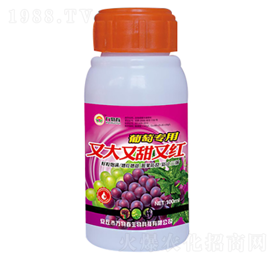 100ml�����ִ������ּt-�f�ﴺ