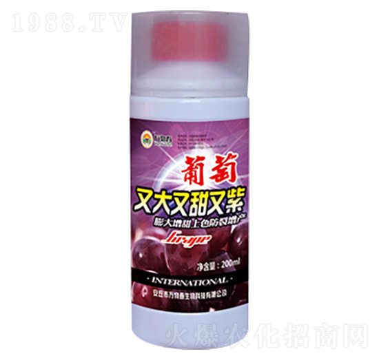 �����ִ���������-�f�ﴺ