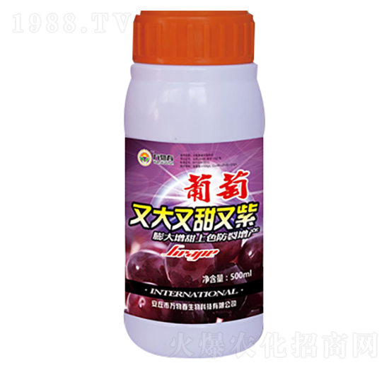 500ml�����ִ���������-�f�ﴺ