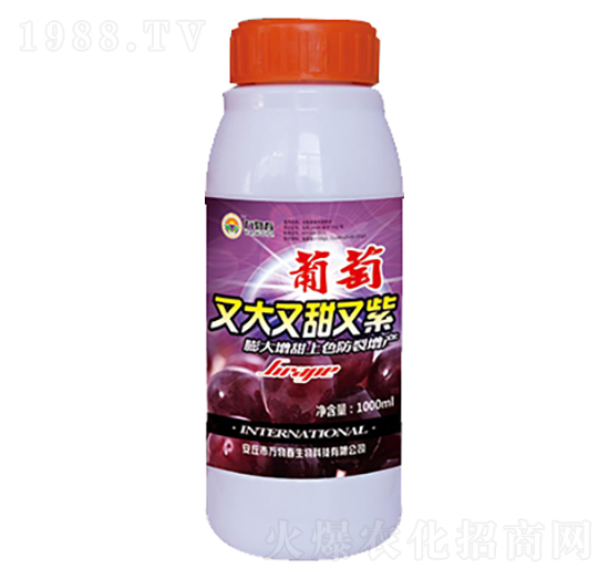 1000ml�����ִ���������-�f�ﴺ