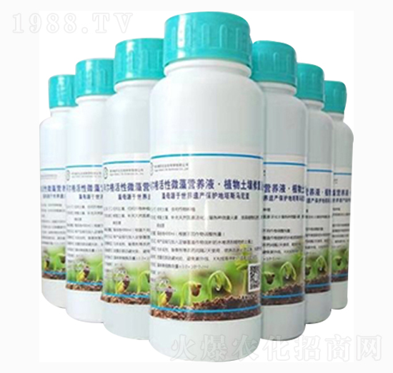 小麥、玉米、水稻專用微藻營養(yǎng)液·土壤改良液-阿爾格