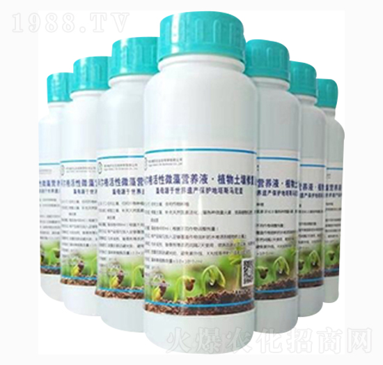 蔬菜、大棚微藻營(yíng)養(yǎng)液·土壤改良液-阿爾格