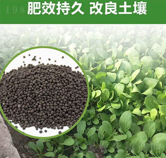 果樹有機(jī)肥-富瑞豐