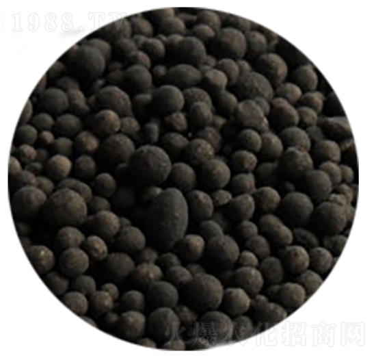 生物有機(jī)肥大顆粒-富瑞豐