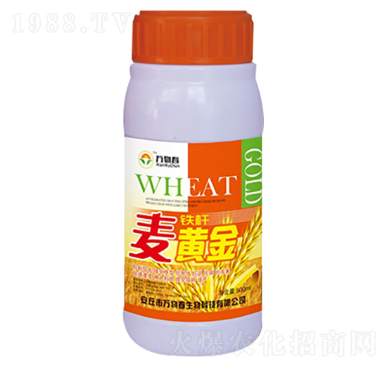 �F�U���S��-�f(w��n)�ﴺ