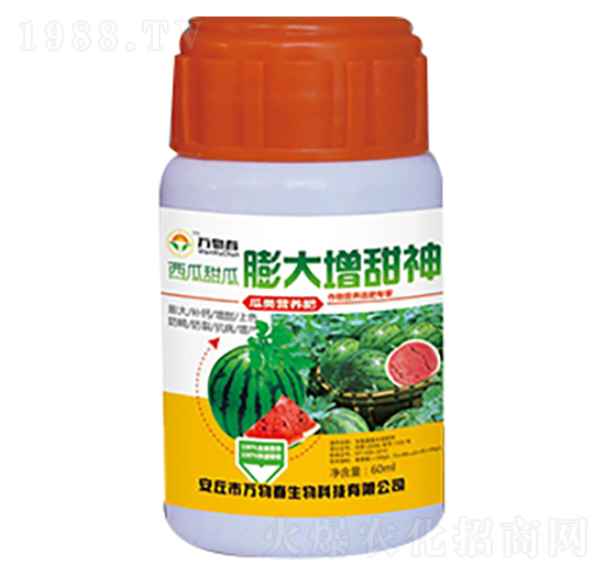 60ml����������������-�f�ﴺ