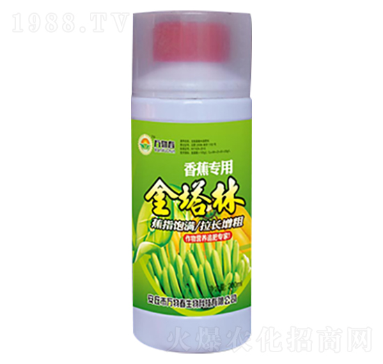 �㽶������-�f�ﴺ