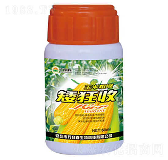 ���״ֿs������-�f�ﴺ