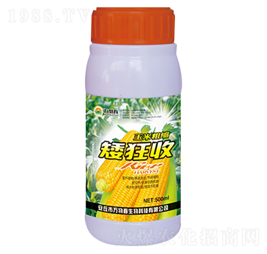 500ml���״ֿs������-�f(w��n)�ﴺ