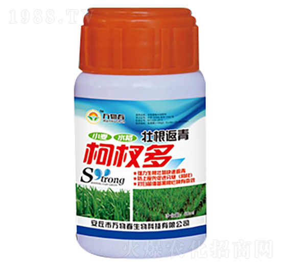 60ml�Ѹ������辶�-�f�ﴺ