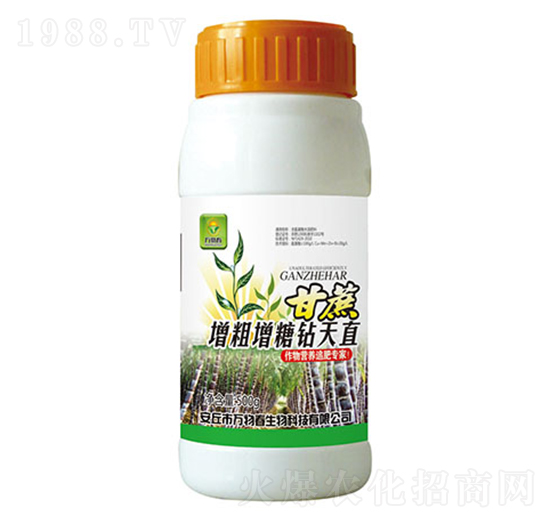 �������������@��ֱ-�f(w��n)�ﴺ