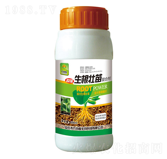 ��������ͺτ�-�f�ﴺ