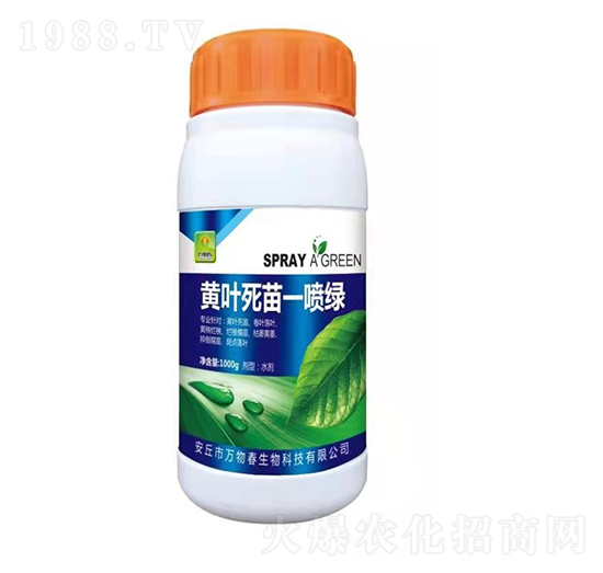 黃葉死苗一噴綠-萬物春