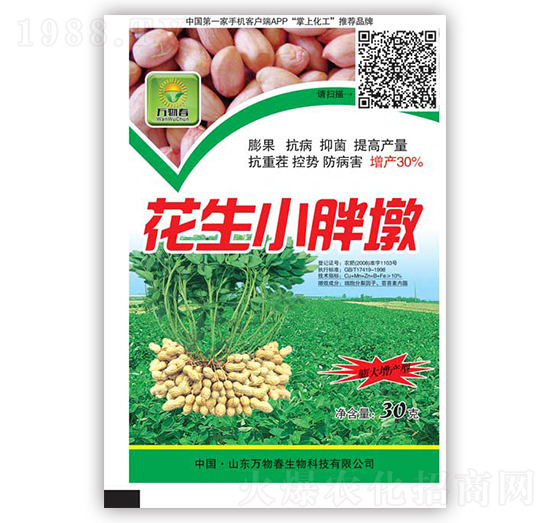 花生小胖墩-萬物春