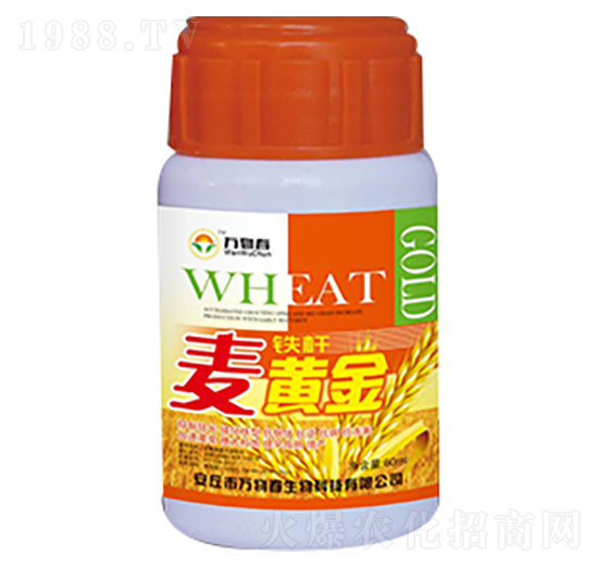 60ml鐵桿麥黃金-萬物春