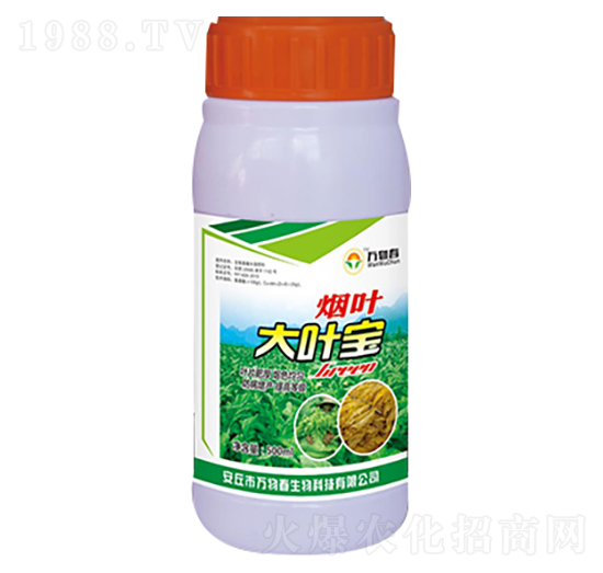 500ml煙葉大葉寶-萬物春