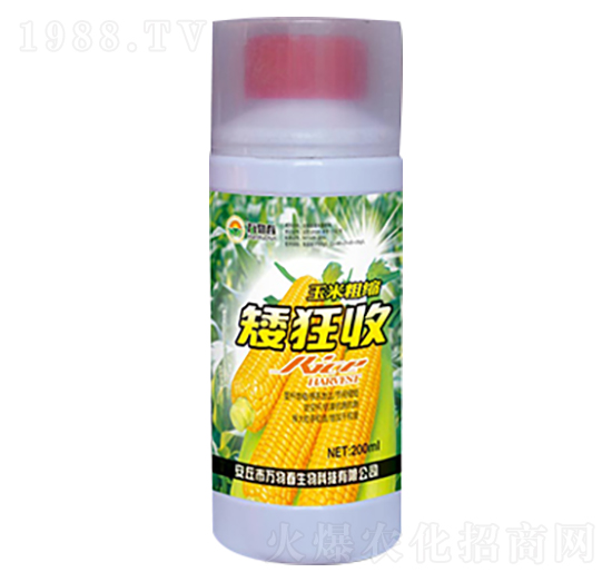 200ml玉米粗縮矮狂收-萬物春