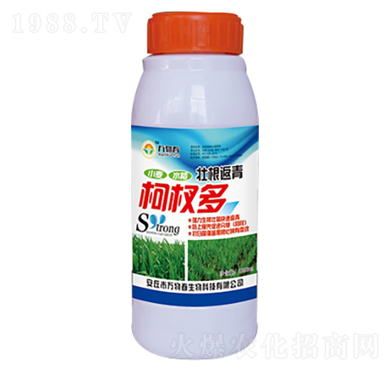 1000ml壯根返青柯杈多-萬(wàn)物春