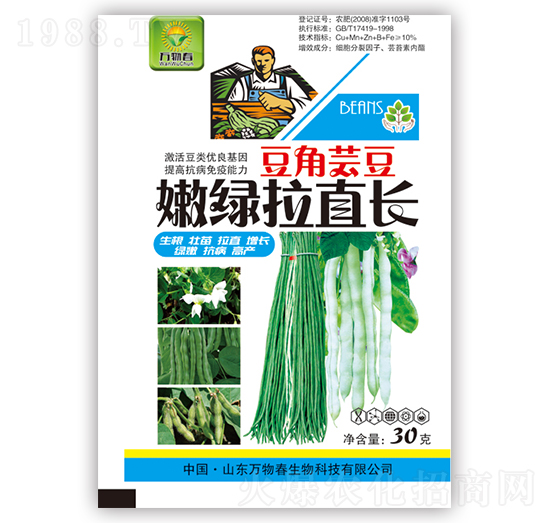 豆角蕓豆嫩綠拉直長-萬物春