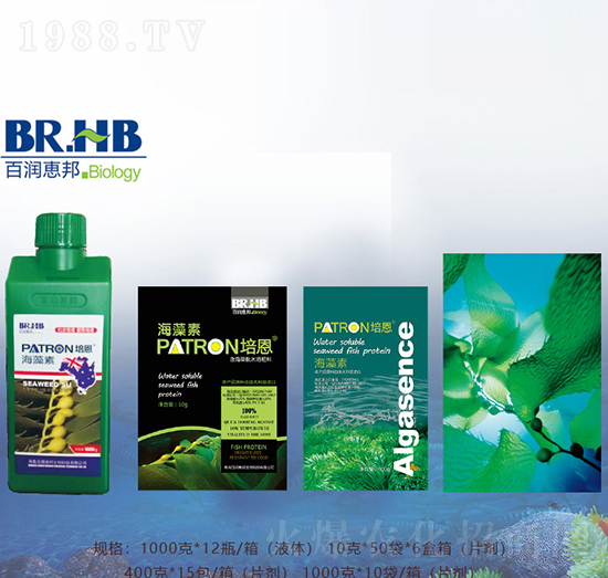 原生藻-百潤惠邦
