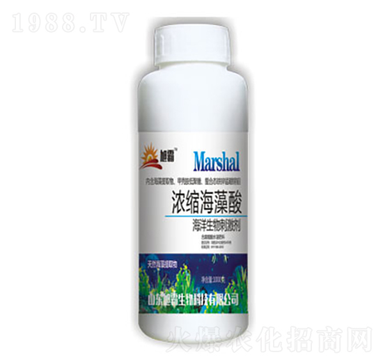 濃縮海藻酸-旭霸生物