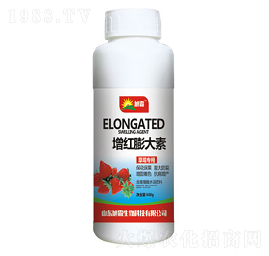 草莓專用增紅膨大素-旭霸生物