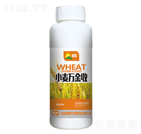 小麥萬金收-旭霸生物