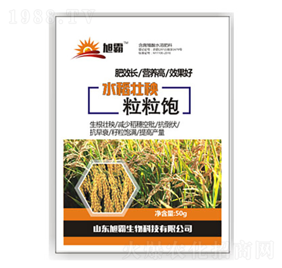 ˮ�����������-�������