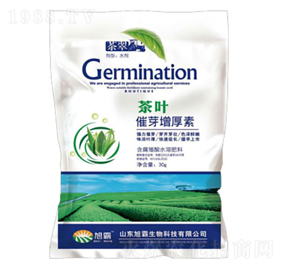 茶葉催芽增厚素-旭霸生物